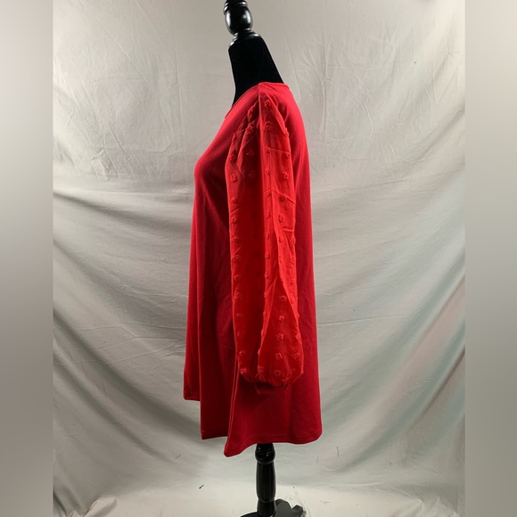 Red Swiss Dot Sheer Sleeve Dress - Picture 9 of 9